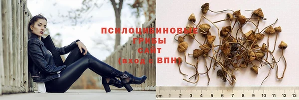кристаллы Богданович