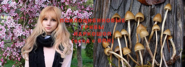 молекула духа Богородск