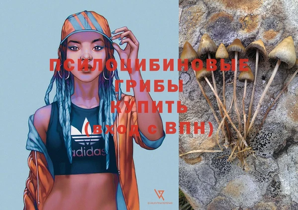 альфа пвп Богородицк