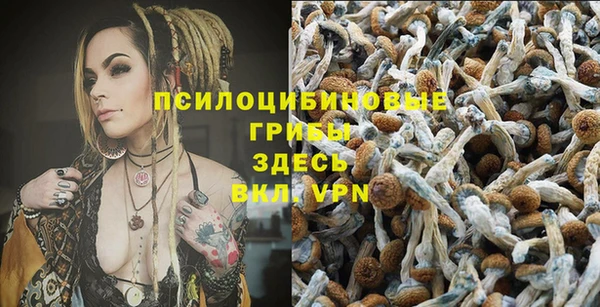 молекула духа Богородск