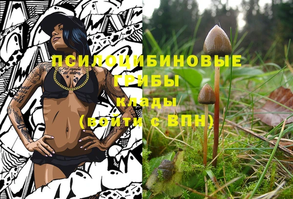 молекула духа Богородск